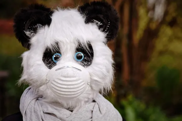 ΧειΣπιν Καζίνο Υποστηριξη